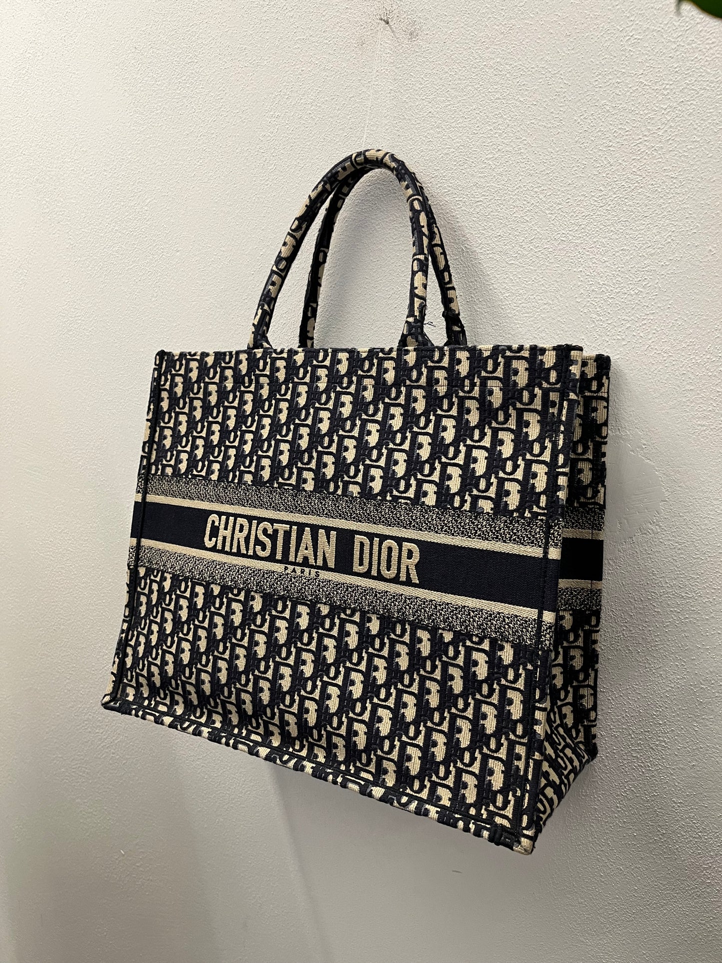 Dior Book Tote