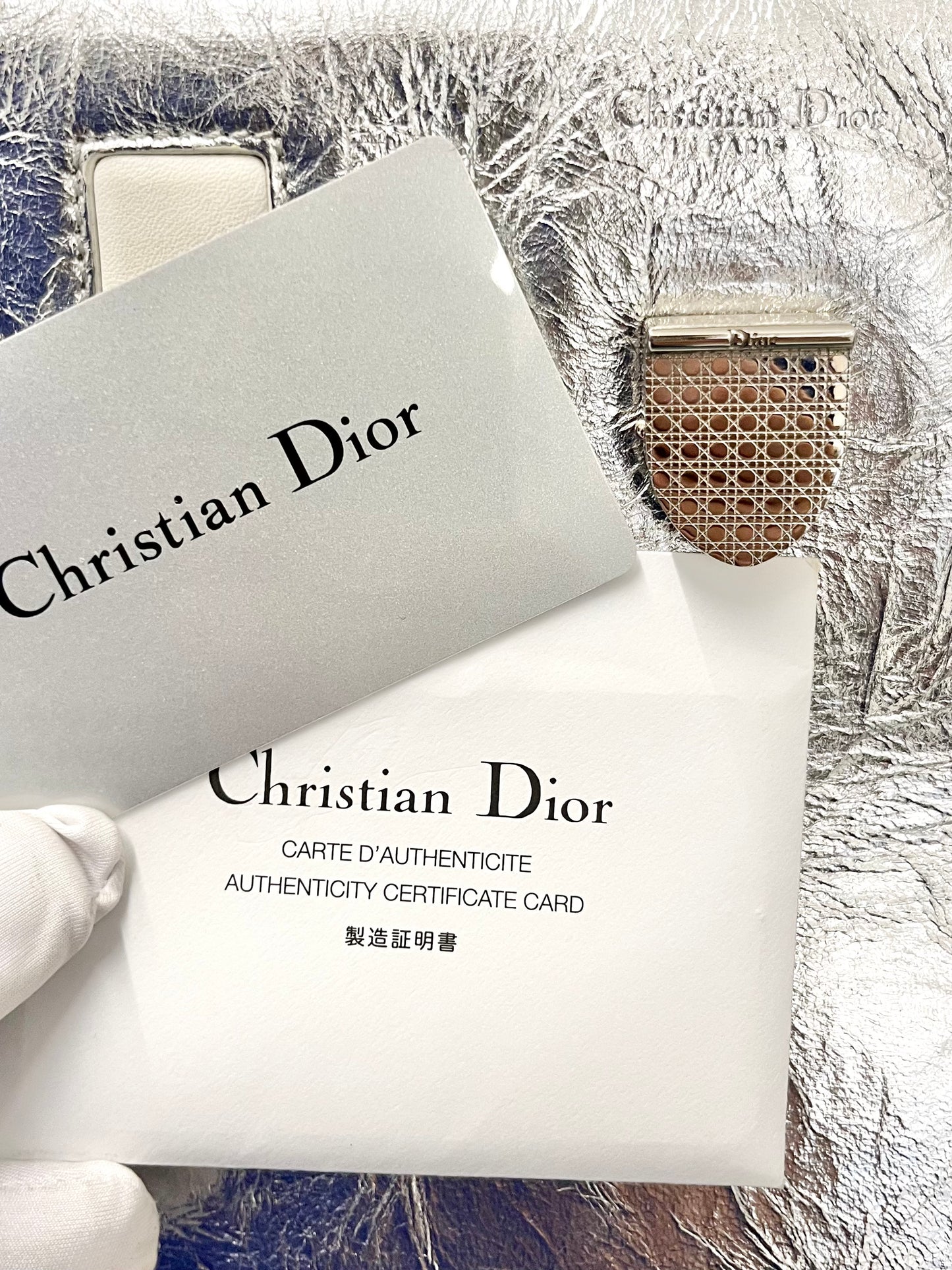 Dior Diorever Silver Metallic