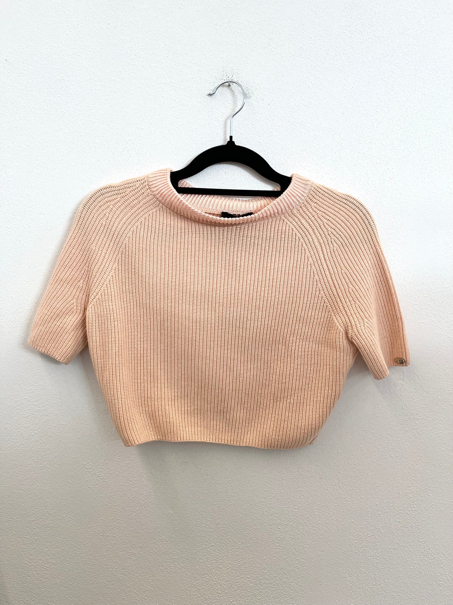 Maglia Cropped di Elisabetta Franchi a Costine con Manica Raglan