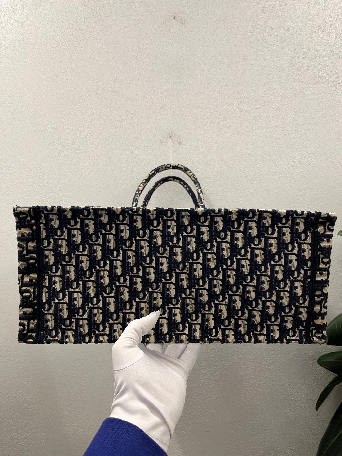 Dior Book Tote