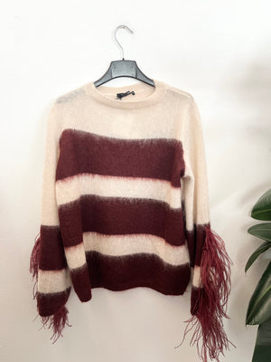 Descriptive image text